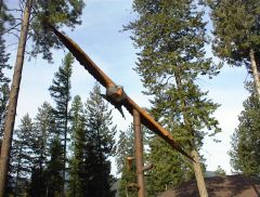 Eagles Libby Montana 2002