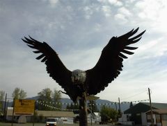 Eagles Libby Montana 2002