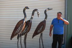 Glenn Moon and his birds