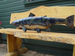 blue trout 2 034