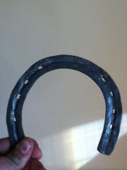 horse shoe from horse shoes
