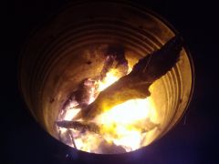 Roastingfire1