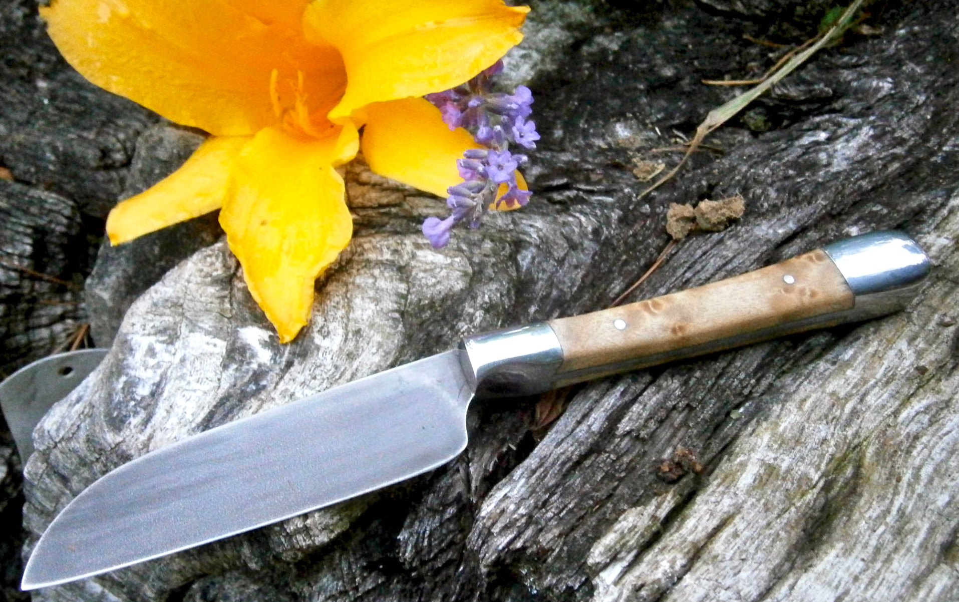 52100 & Birdseye Maple Santoku paring knife