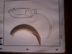 BoarTuskSkinnerDesign