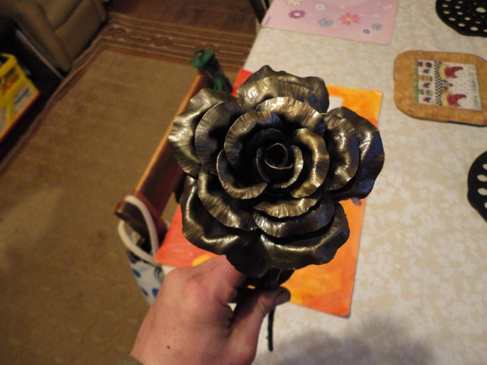 DSC01619.thumb.JPG.a55d1e09b0e09e60ad0a6