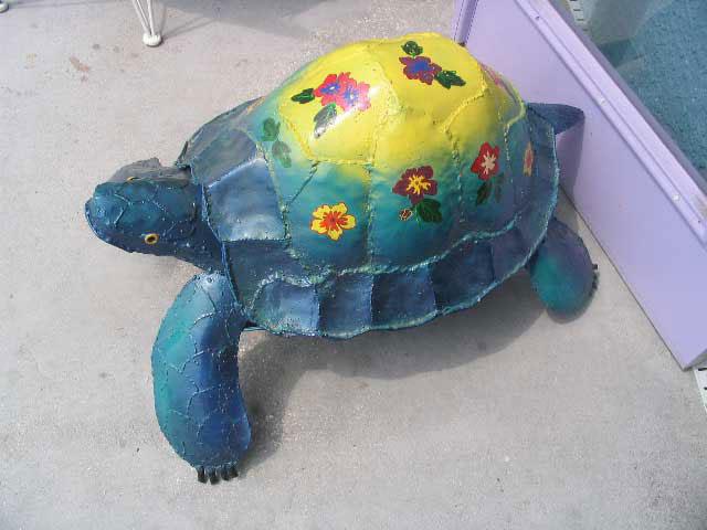 Turtle.JPG