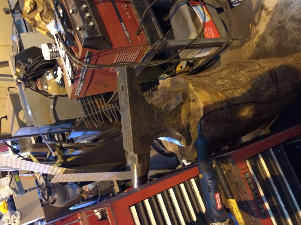 image.thumb.jpg.0ecd95e9aff271384409f17b