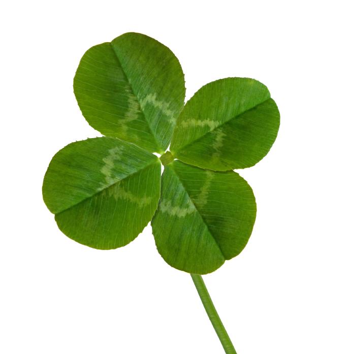 flcgreen9191.jpg
