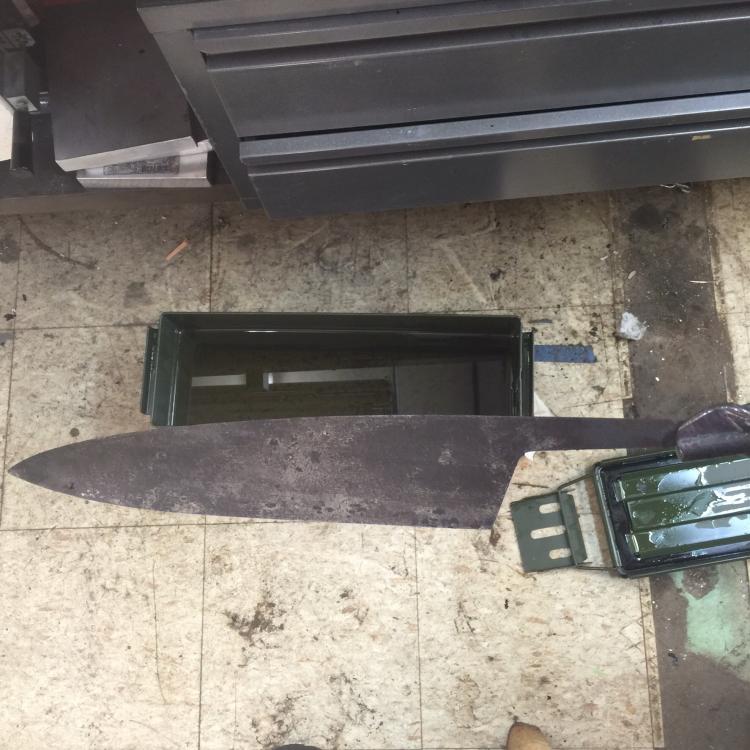 image.thumb.jpg.6dcc2f9caaa9773bf37818ae
