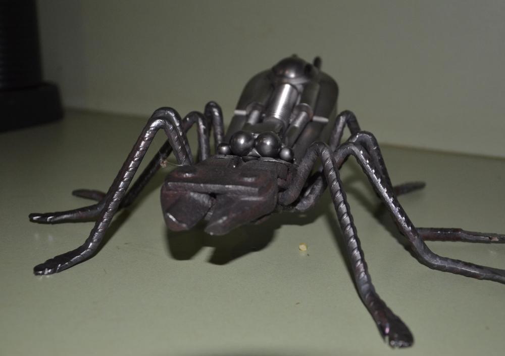 spider2.jpg
