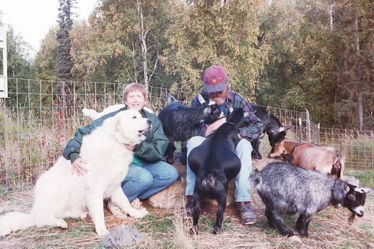 57114181e544a_ak2001goatrock.jpg.1272a5d