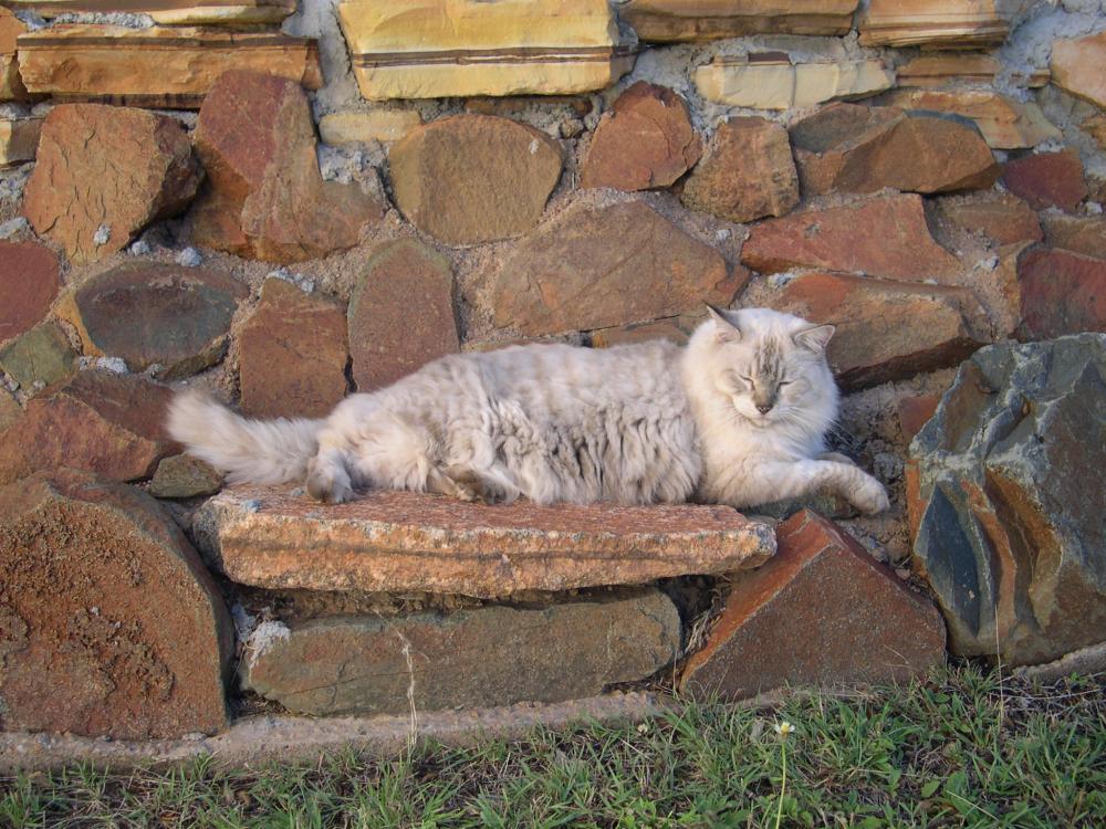 DSCN3672.JPG