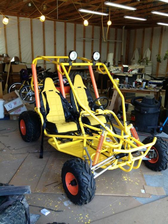 buggy2.jpg