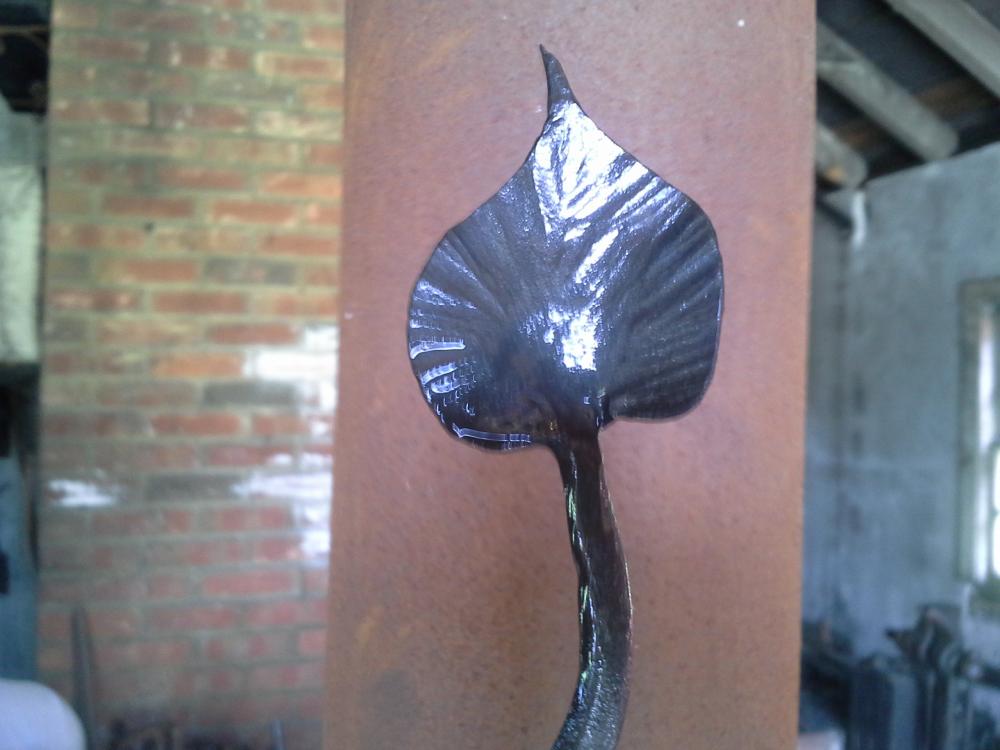 20160716_160550.jpg