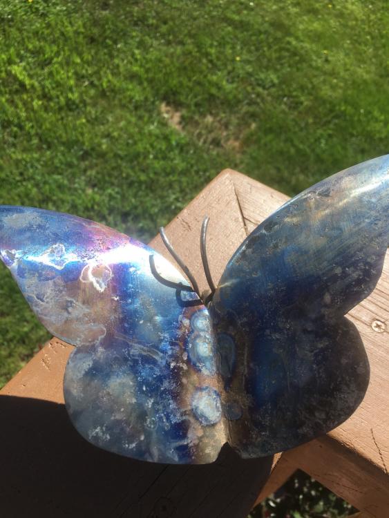 Butterfly2.JPG