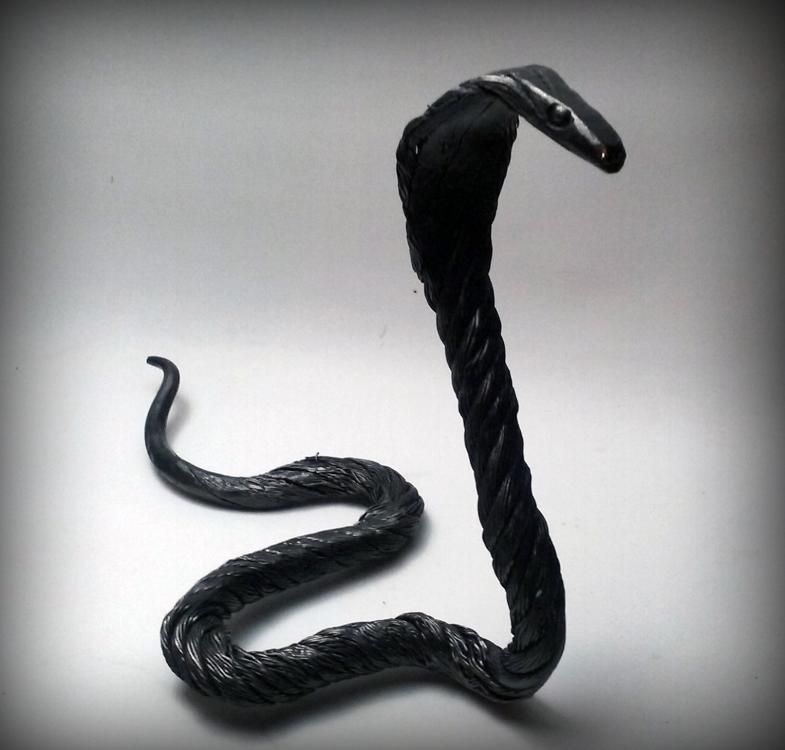 snake 004.jpg
