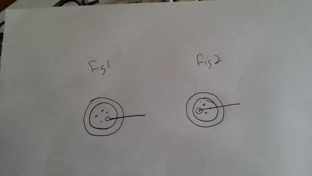20160930_165024.jpg