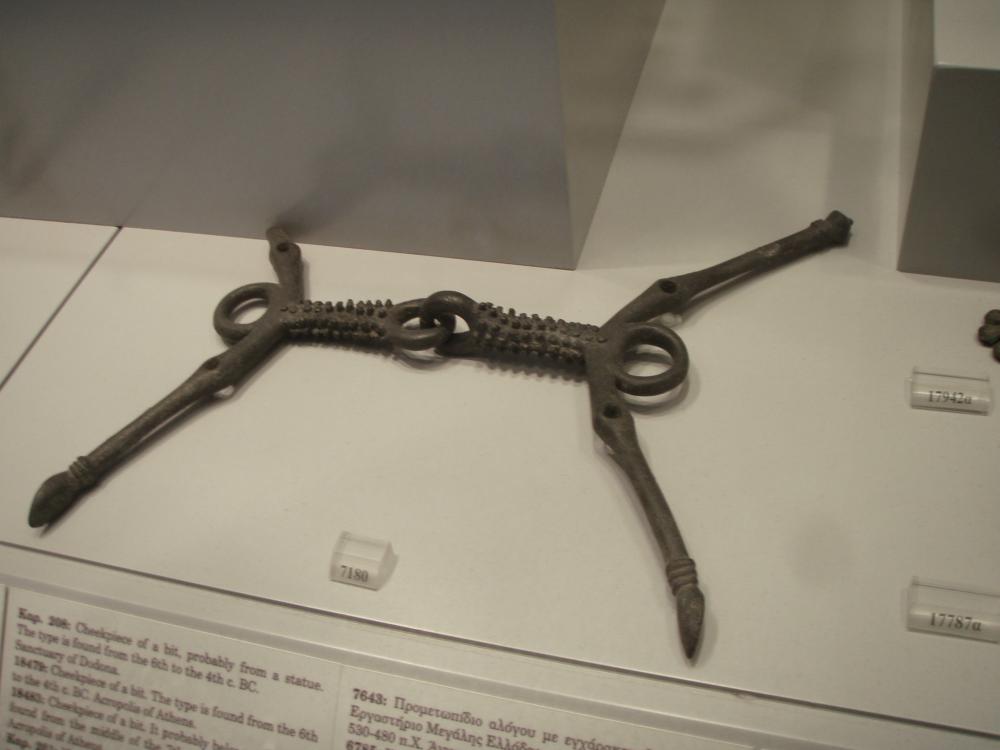 P4240492.thumb.jpg.6d17ed9a0b7ceb76795a3fa0b54fbff5.jpg
