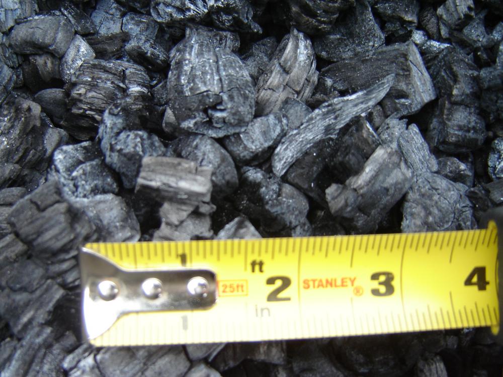 charcoal.thumb.JPG.17a5301f425ea988f740a9e8ef569923.JPG