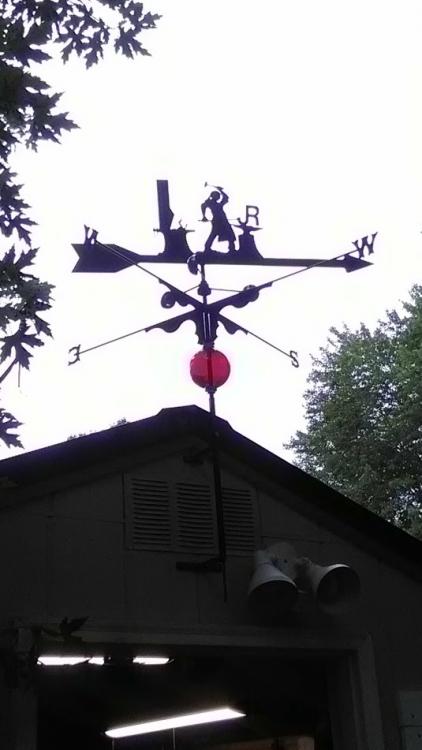IMG_20170725_104428.jpg