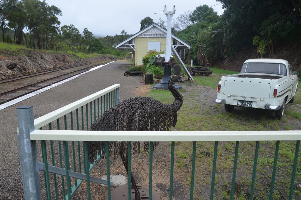 cassowary2.JPG