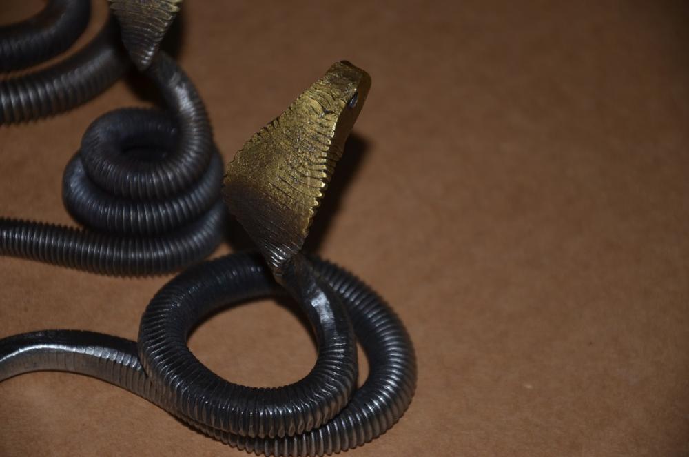 cobras  3.JPG
