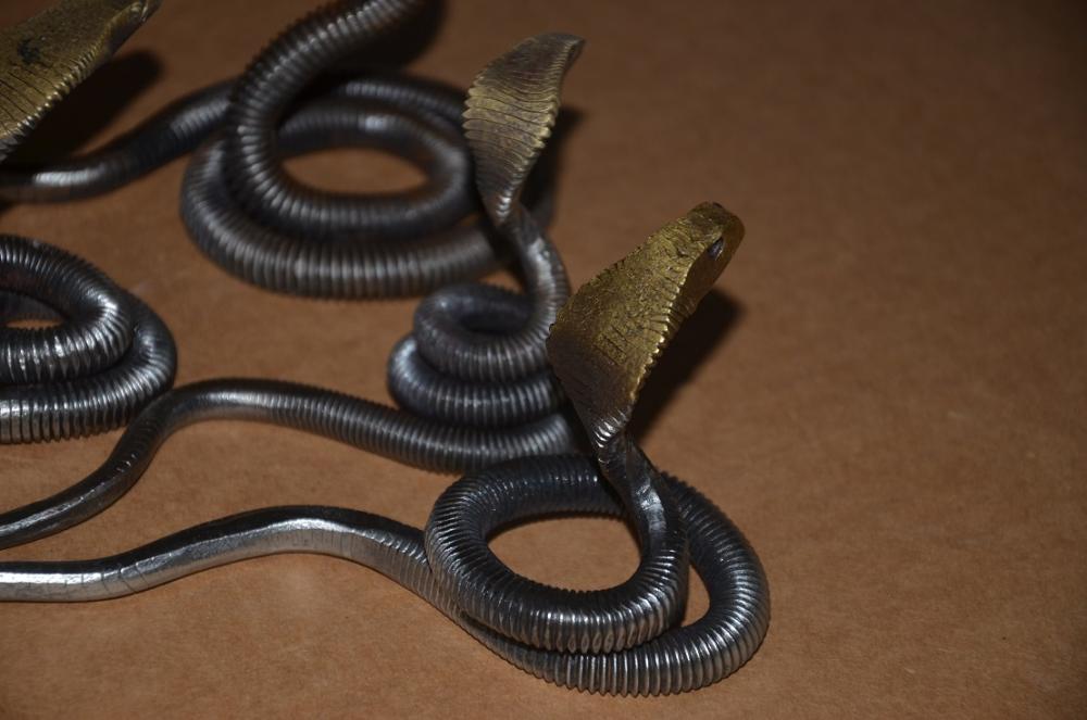 cobras 2.JPG