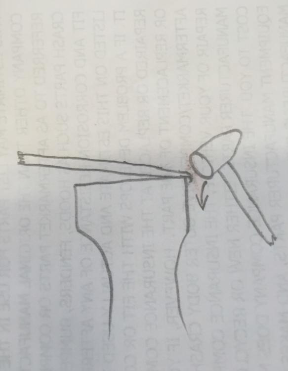 image.jpg