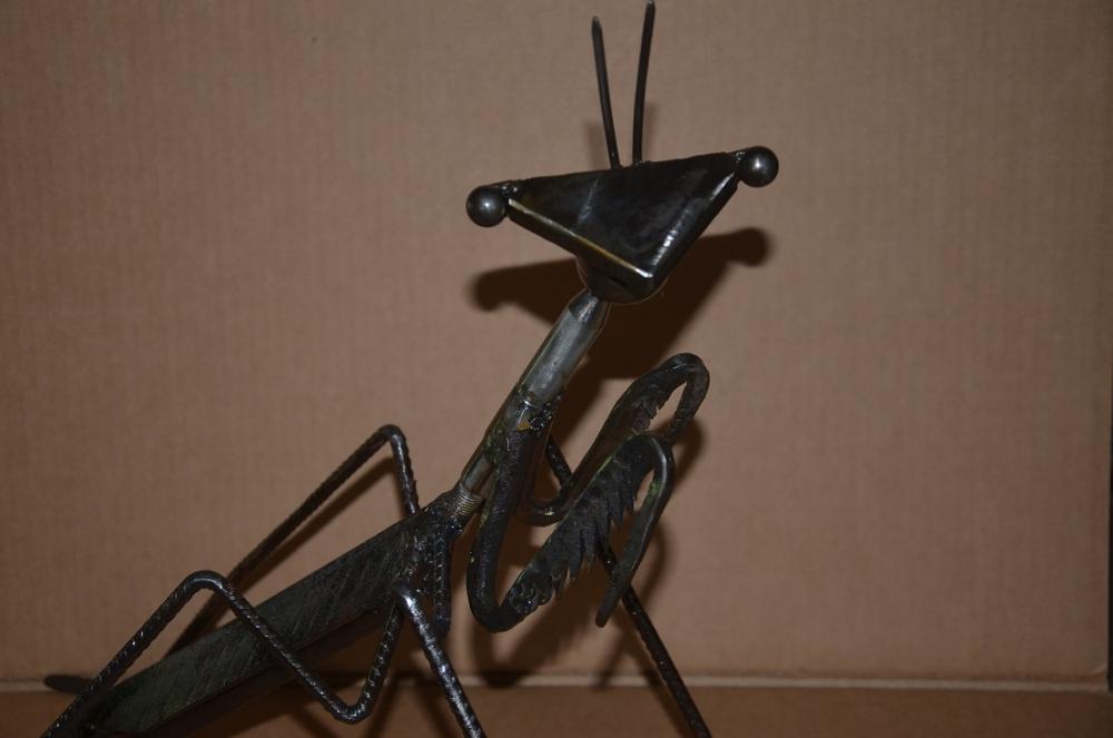 mantid2a.JPG
