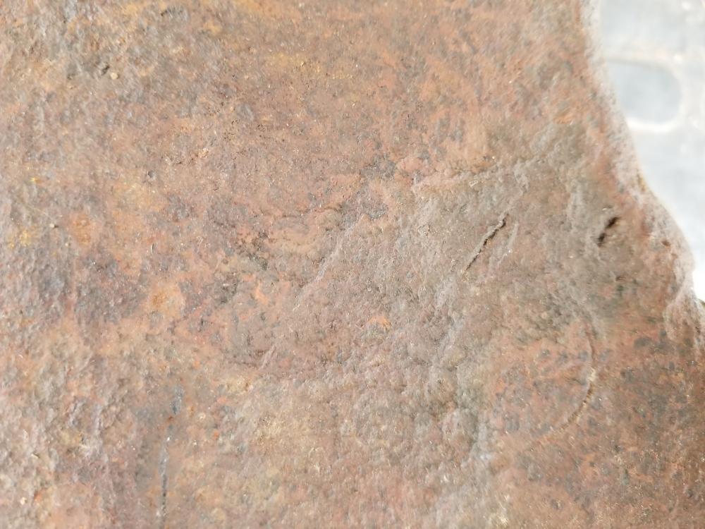 20180425_142015.jpg