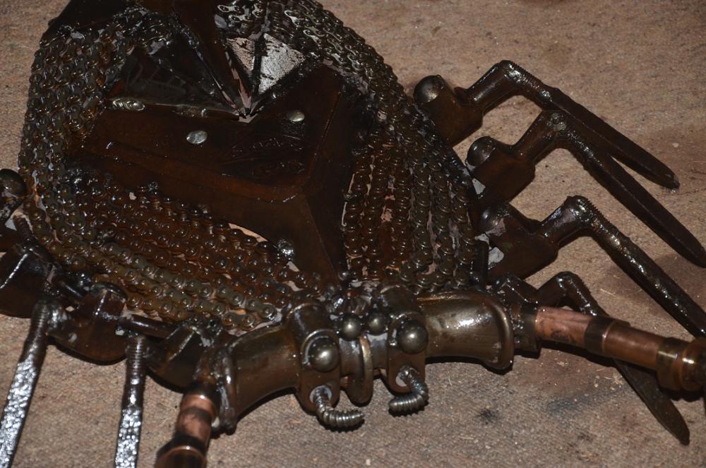 big scorpion 4.JPG