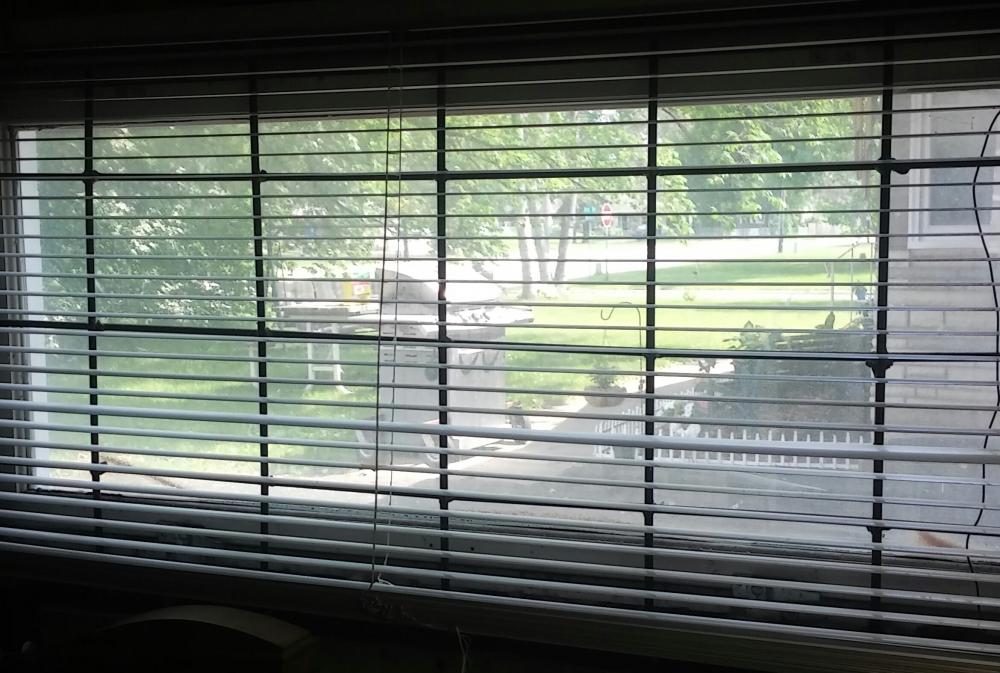 20180610_150304_HDR-1.jpg