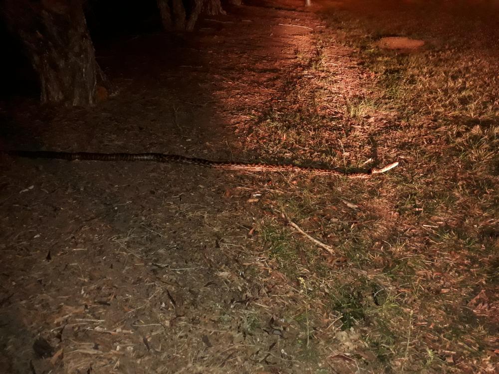 20180623_215652.jpg