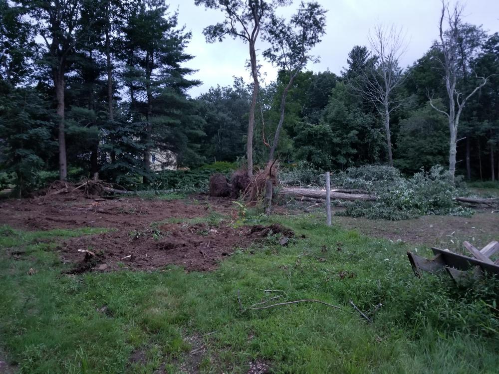 20180727_200905.jpg