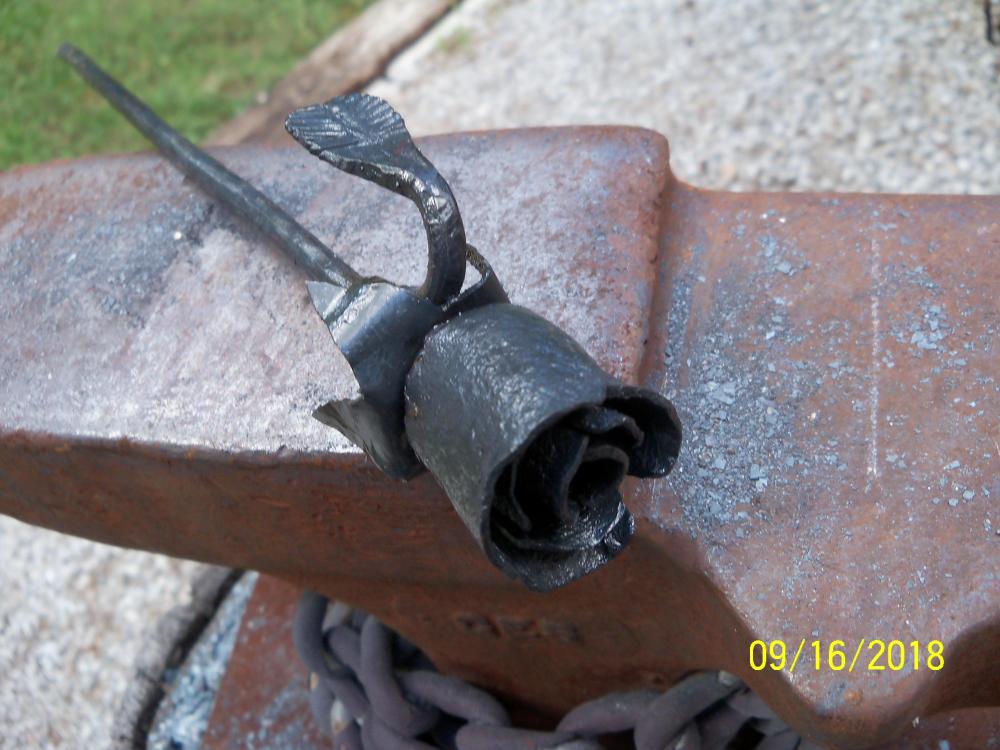 100_1989.thumb.JPG.4d36a3f1fa5adaa0377b129566e7cede.JPG
