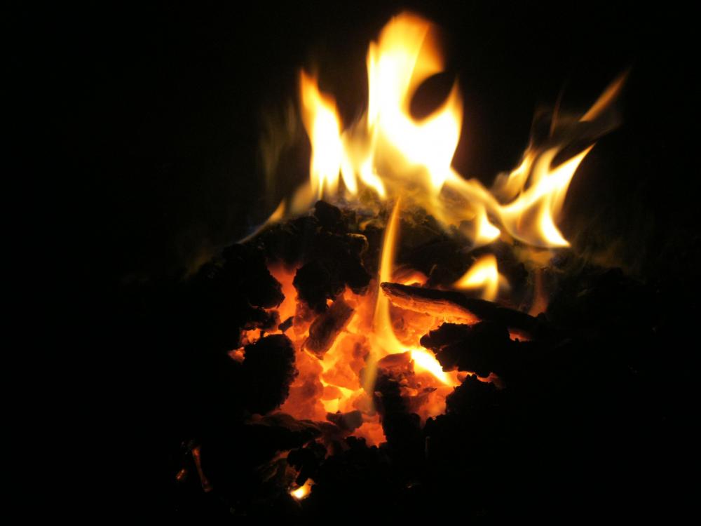IMG_7227.JPG