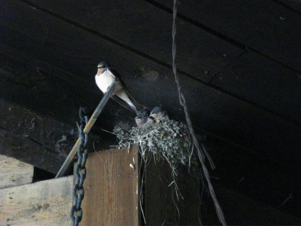 IMG_7245.JPG