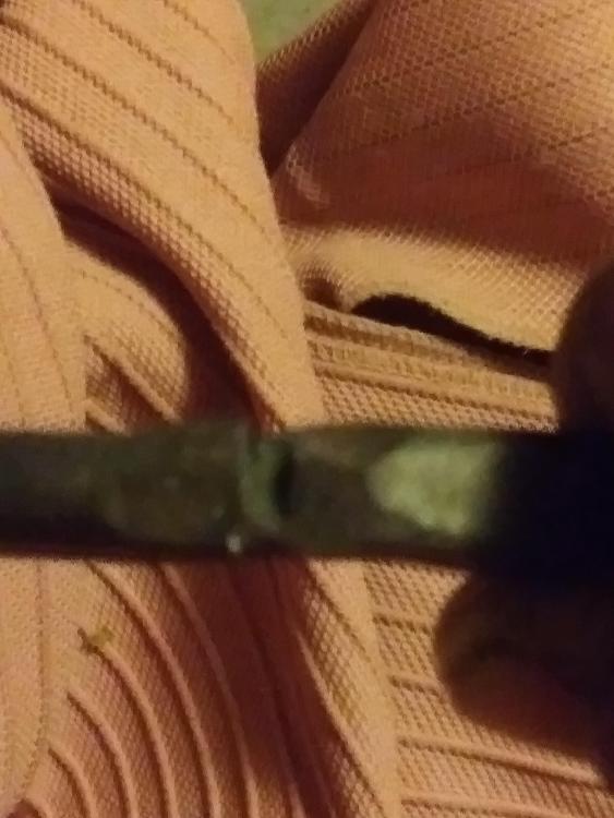 20181108_215512_HDR.jpg