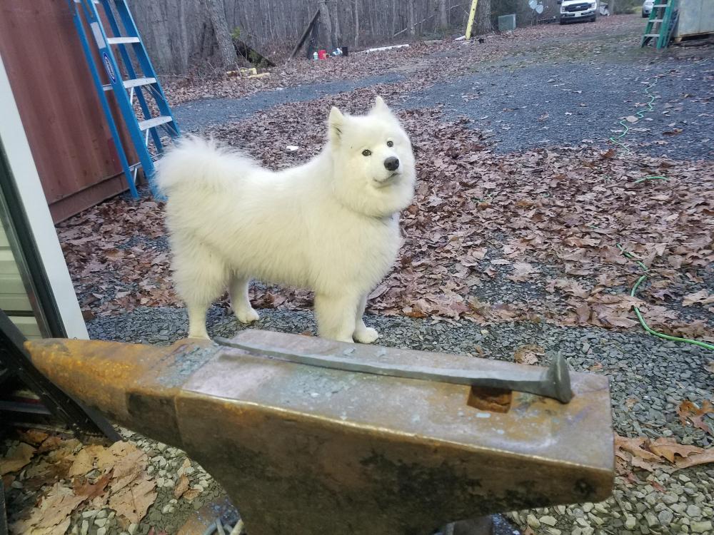 20181230_165932.jpg