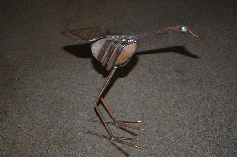 stone curlew 1.JPG