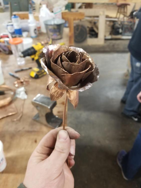 20190203_210511.jpg