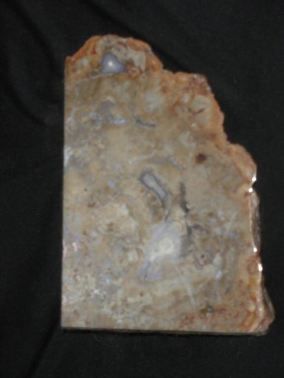 307637395_Coprolite01.thumb.jpg.1ab6033556871aded930835507d4d1bb.jpg