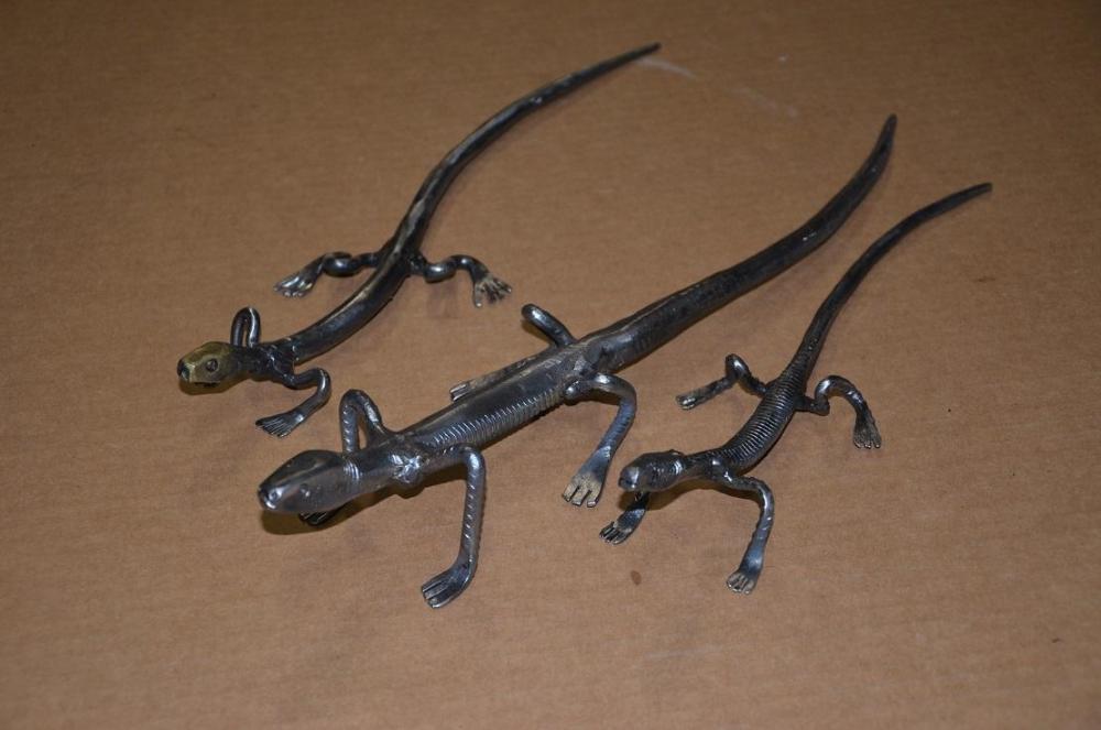 bolt lizards.JPG