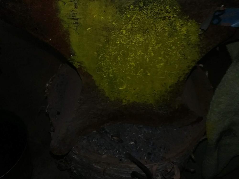 Mouse marks.jpg