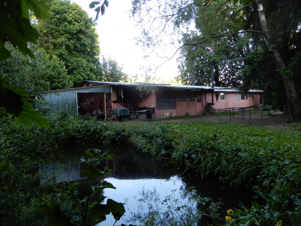 DSCN5269.JPG
