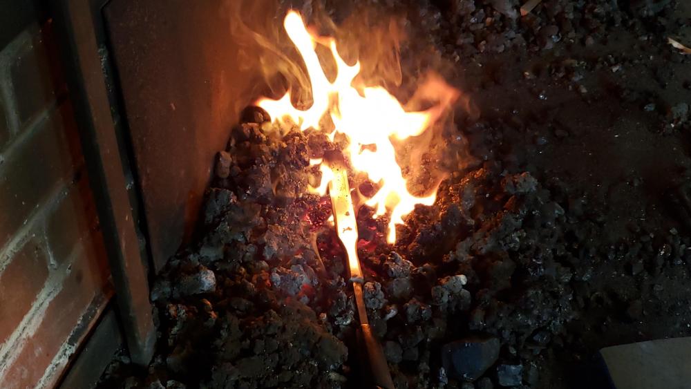 20191207_125055.jpg