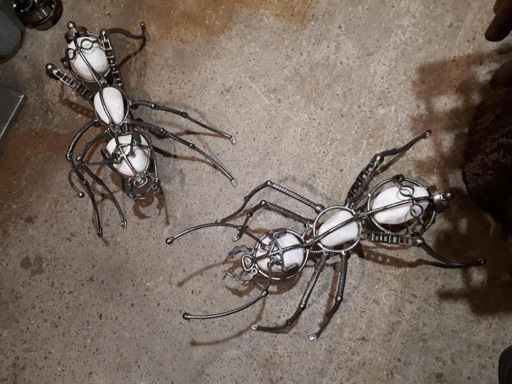 ant 2.jpg