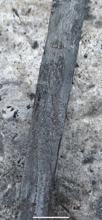 E669418E-AB01-4D1D-9831-59BAB5C4A4B3.png