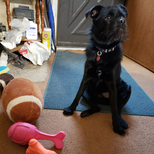 Axle.jpeg.5dbdb24864c48721025688c478f18534.jpeg