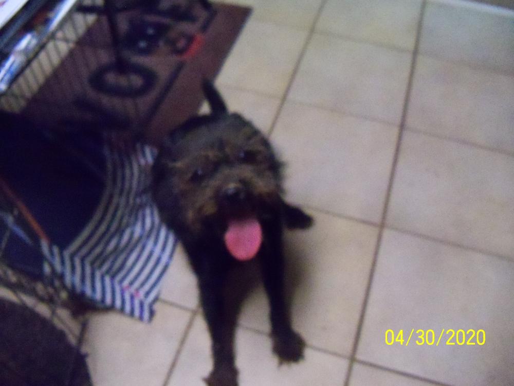 100_2113.thumb.JPG.add38ca490f505acf753c63cc04db8f6.JPG
